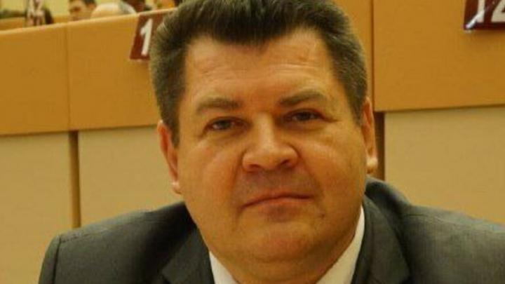 Саратовский депутат призвал жителей с пониманием относиться к сугробам