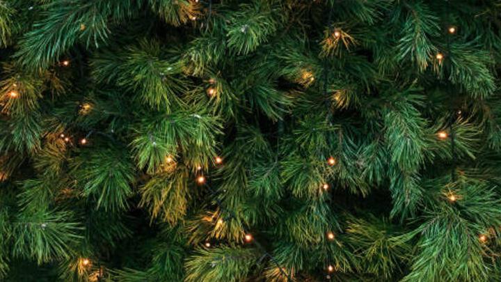 Завтра на Театральной площади Саратова откроют главную новогоднюю елку