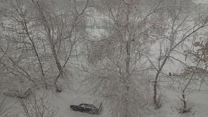 Мокрый снег, туман и гололедицу обещают в Саратовской области