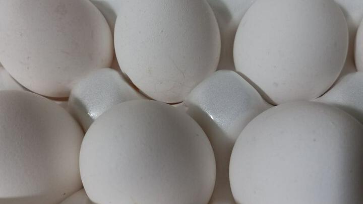 Россияне скупили «лишних» 1,8 млрд штук куриных яиц