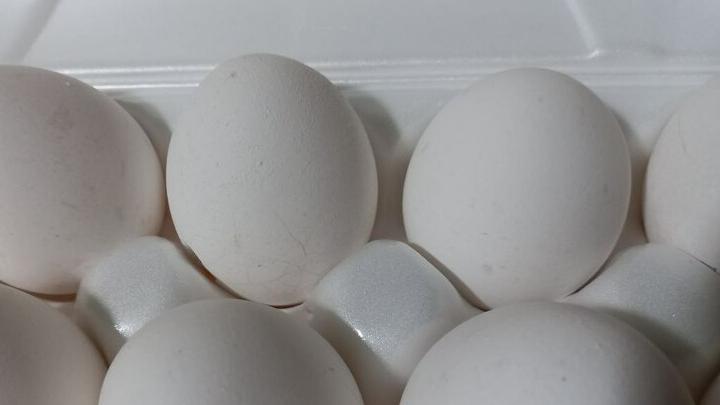 В Россию начали поступать куриные яйца из Турции