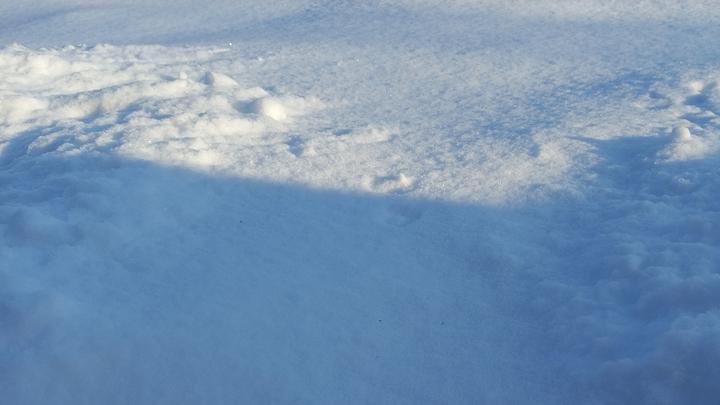Медики не рекомендуют саратовцам растирать обмороженные участки тела снегом