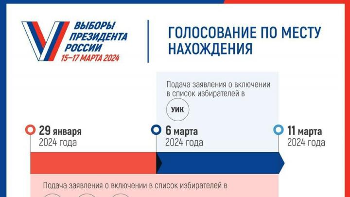 Саратовцы смогут проголосовать на выборах Президента по месту нахождения