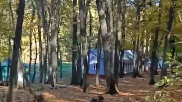 В саратовском лагере установят дополнительный спальный корпус
