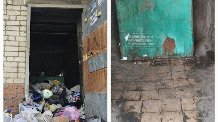 Дмитрий Плеханов: Ситуация с вывозом мусора в городе продолжает быть нестабильной