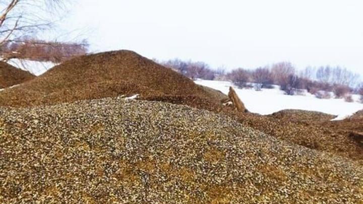 В Балаковском районе неизвестные устроили свалку из лузги от семечек