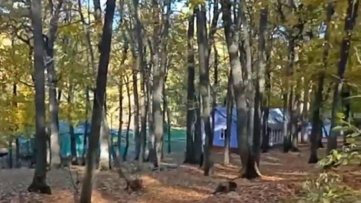 Детским лагерям Саратовской области выделят более 106 миллионов рублей