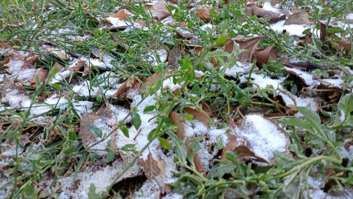 В выходные в Саратовской области ожидаются мокрый снег, морось и туман
