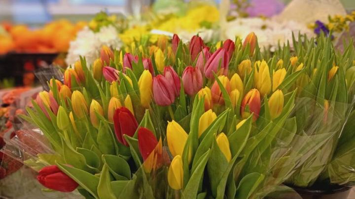 Саратовская облдума заказывает цветы для мероприятий почти на 200 тысяч рублей