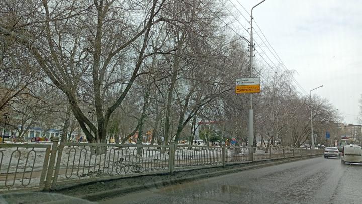 В Саратове по-весеннему тепло 