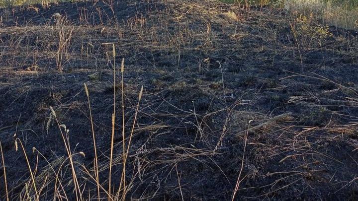 В саратовском селе горели два гектара травы