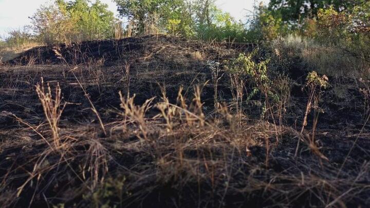 В Волжском районе Саратова горели четыре гектара травы и камыша