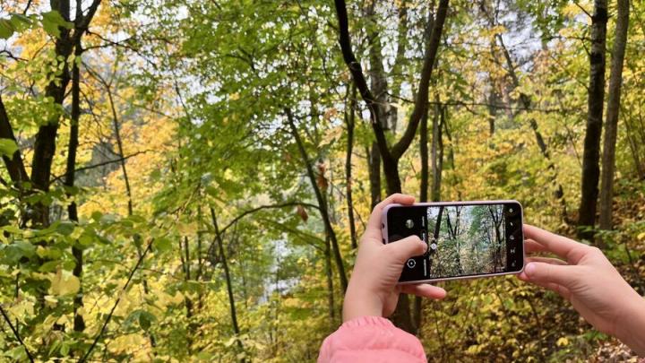 В лесах Саратовской области увеличилось число «умных» камер