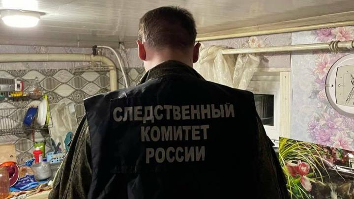 В Пугачеве пьяные приятели до смерти избили мужчину