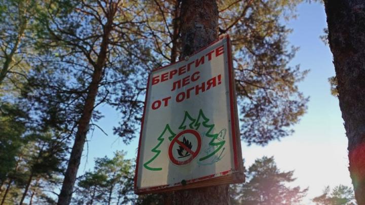 После майских праздников в Саратовской области введут особый противопожарный режим