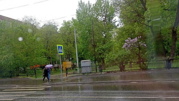 В Саратове вновь холодно и возможен дождь