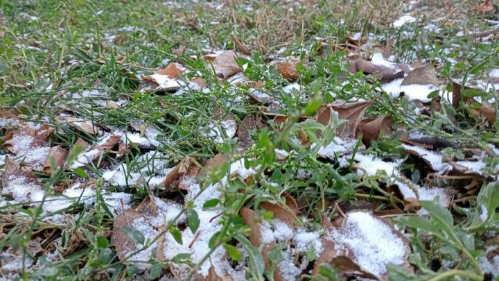 Заморозки продолжатся в Саратовской области