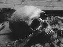 В Энгельсе найден череп умершего 10 лет назад человека