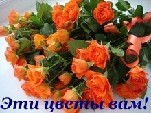 Общественник подарил министру цветы за помощь в отсрочке введения "энергопайков"