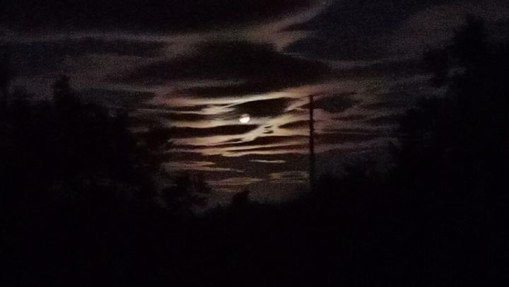 ��������� ������ ������� ����� ����� ������