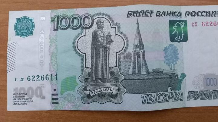 Юный житель Пугачева обманул микрофинансовую организацию.