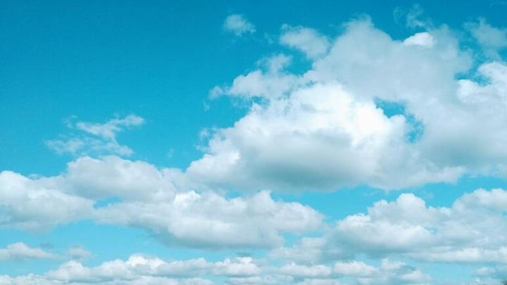 «Камикадзе» и «сброс СВУ»: в саратовском колледже студентов будут учить управлять боевыми дронами