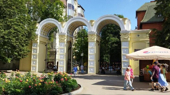 Лето в горпарке: саратовцев ждут танцы, литературные вечера и бесплатные катания для детей