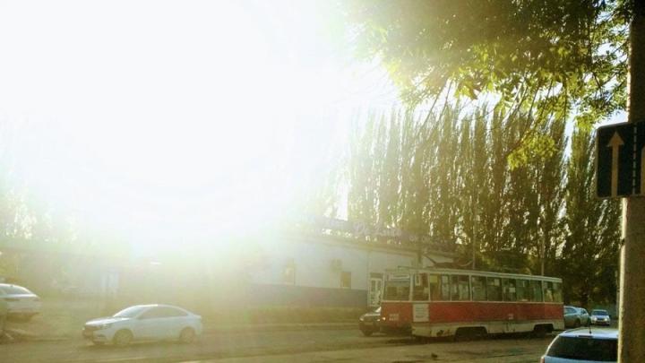 Знойное лето в разгаре: в Саратовской области прогнозируют +36 и прохладные ночи