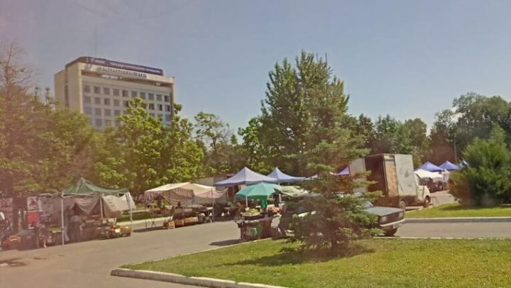 Саратовцев зовут на ярмарку: свежие продукты и рукоделие по ценам производителей