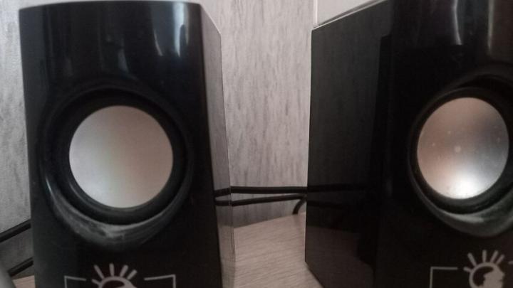 Саратовский участковый проигнорировал заявление горожанки о нарушении тишины