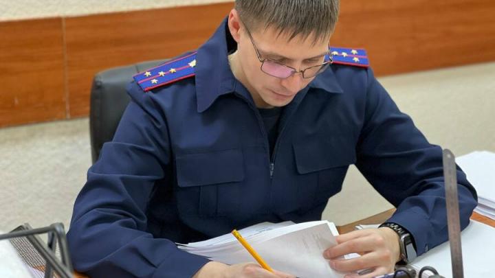 В Саратове директор АНО потратил грантовые деньги на себя, а не на вольеры для собак