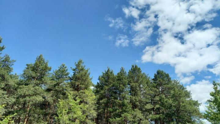 В Саратове ожидается жаркий день с грозой