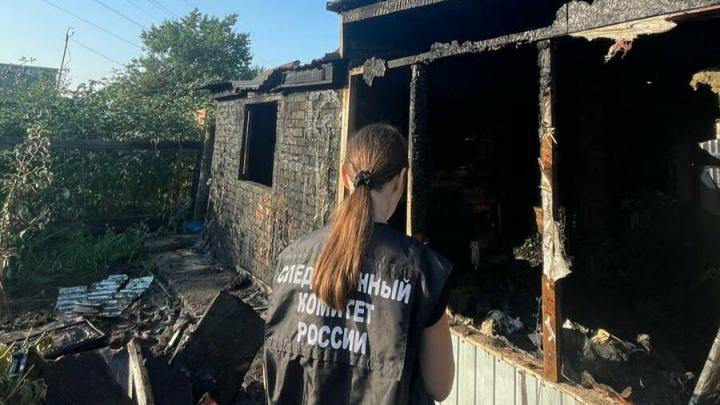 На пожаре в Балаковском районе погибли женщина и дети