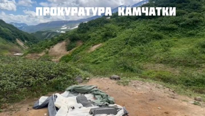 На саратовскую туристку напал медведь на Камчатке