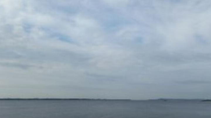 В течение дня в Саратовской области пройдет слабый дождь