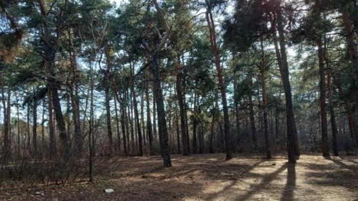 Саратовцев предупредили о грозе и пожарной опасности