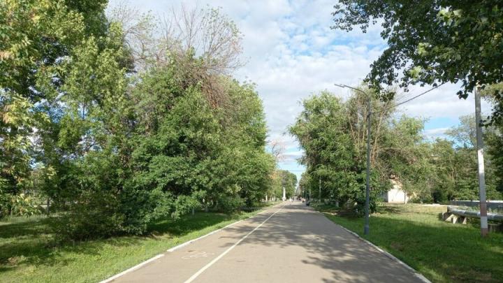 В Саратовской области весь день будет идти дождь