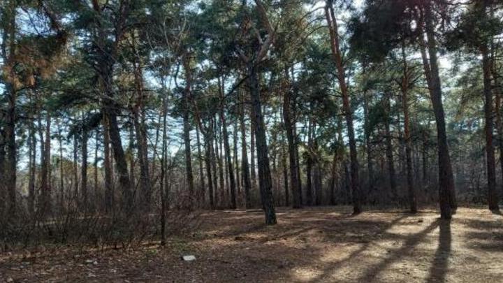 В Саратовской области сохраняется чрезвычайная пожарная опасность