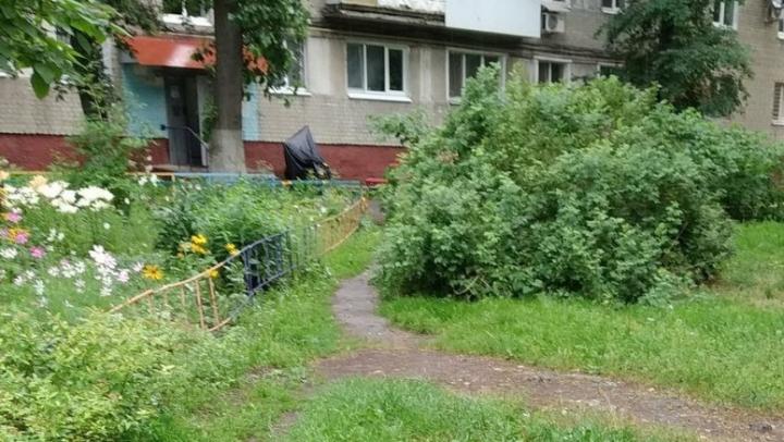 В Саратове преображаются 