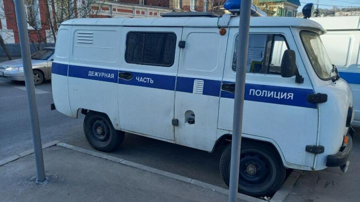 Матерящаяся на улице жительница Пугачева напала на полицейского