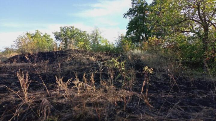 В Гагаринском районе загорелись баня и сарай