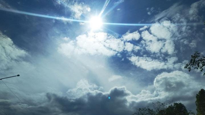 Саратовцев предупредили о жаре на этой неделе: где в регионе пройдут дожди