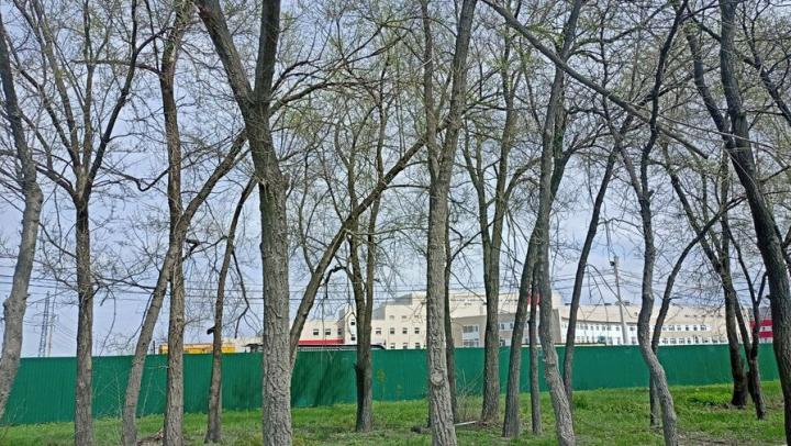 На таблички и указатели для навигации здания онкодиспансера Саратова потратят свыше 3,5 млн