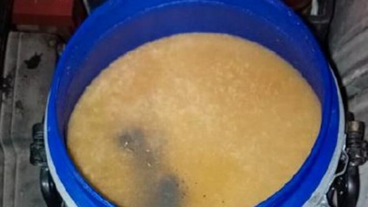 На КПП «Озинки» пресекли попытку вывоза меда без сертификатов