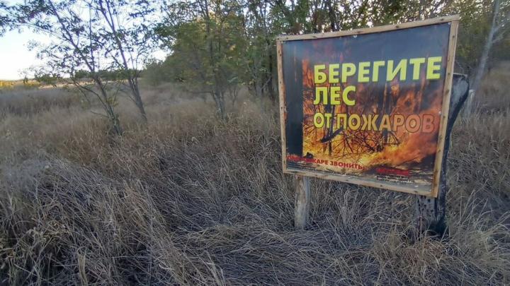 Более 380 гектаров лесов уничтожено огнём с начала года в Саратовской области