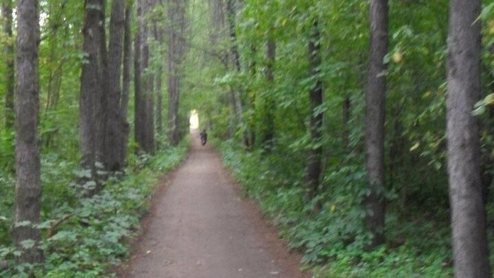В Саратовской области снова жарко
