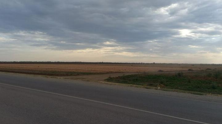 Замглавы Россельхознадзора  посетовал на пассивность сельских чиновников в Саратовской области