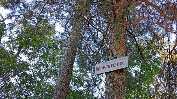 В Саратовской области продлили штормовое предупреждение