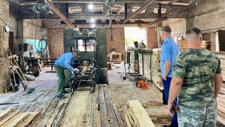 Прокуратура выявила нарушения трудовых прав сотрудников Вольского лесхоза