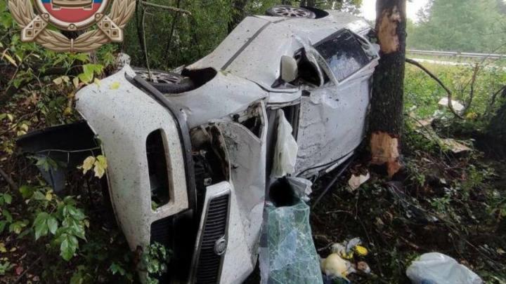 В Базарно-Карабулакском районе водитель погиб, врезавшись в дерево